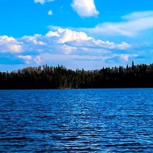 Meet your Posher, Desiree